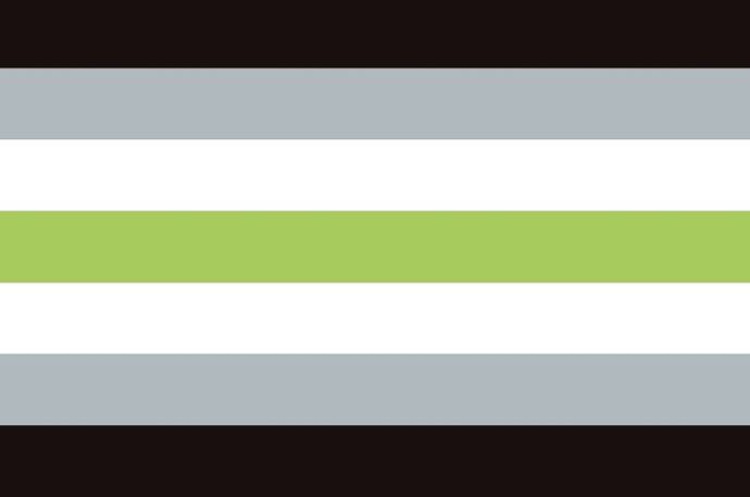 Agender Pride Flag