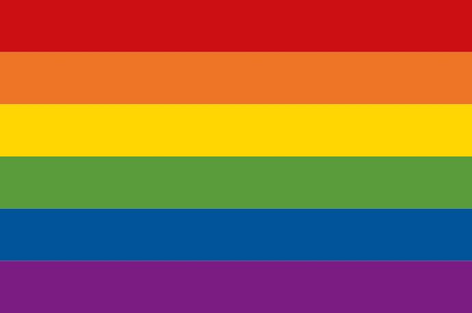 Straight Ally Pride Flag
