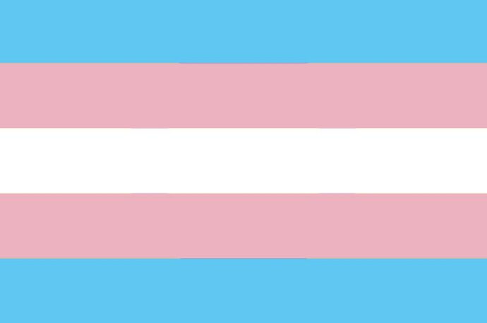 Trans* Pride Flag