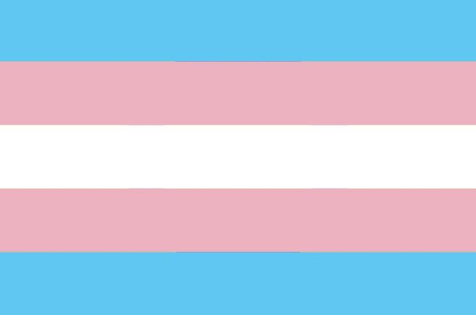 Trans* Pride Flag