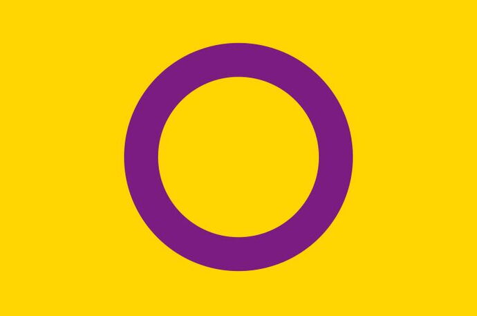 Inter* Pride Flag