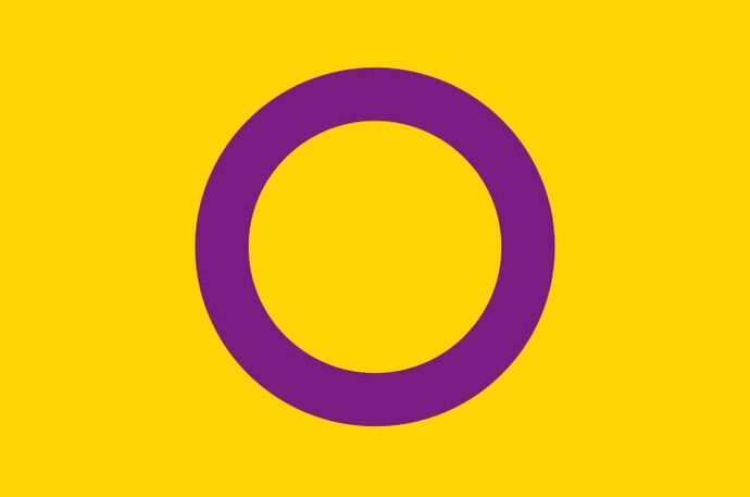 Inter* Pride Flag